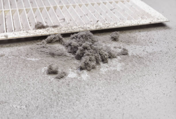 Best Commercial HVAC Duct Cleaning  in Endwell, NY